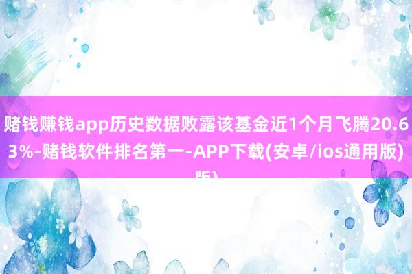 赌钱赚钱app历史数据败露该基金近1个月飞腾20.63%-赌钱软件排名第一-APP下载(安卓/ios通用版)