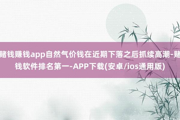 赌钱赚钱app自然气价钱在近期下落之后抓续高潮-赌钱软件排名第一-APP下载(安卓/ios通用版)