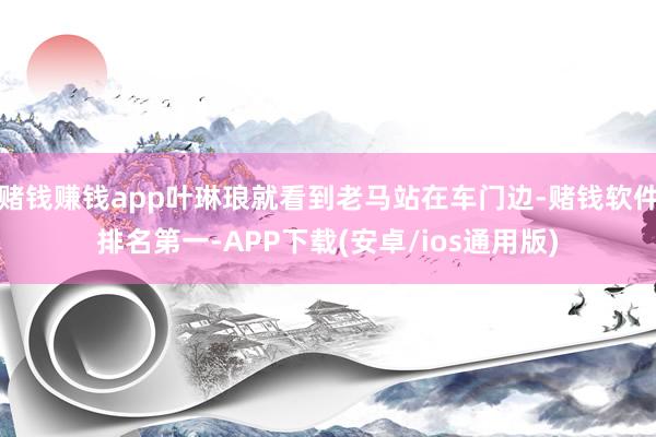 赌钱赚钱app叶琳琅就看到老马站在车门边-赌钱软件排名第一-APP下载(安卓/ios通用版)